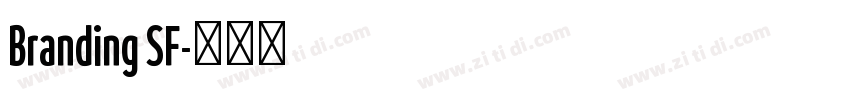 Branding SF字体转换